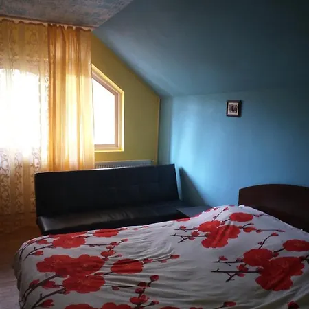 Holiday home Vila Asio Calimanesti